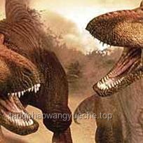 如果鸡是恐龙的后代，它们保留了哪些恐龙时代的特征？🦖🐓 生物学探秘, 恐龙遗迹, 鸟类进化, 科学推理, 自然奥秘